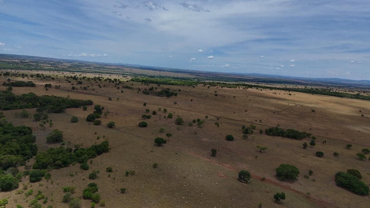 Fazenda, 1669 hectares - Foto 14