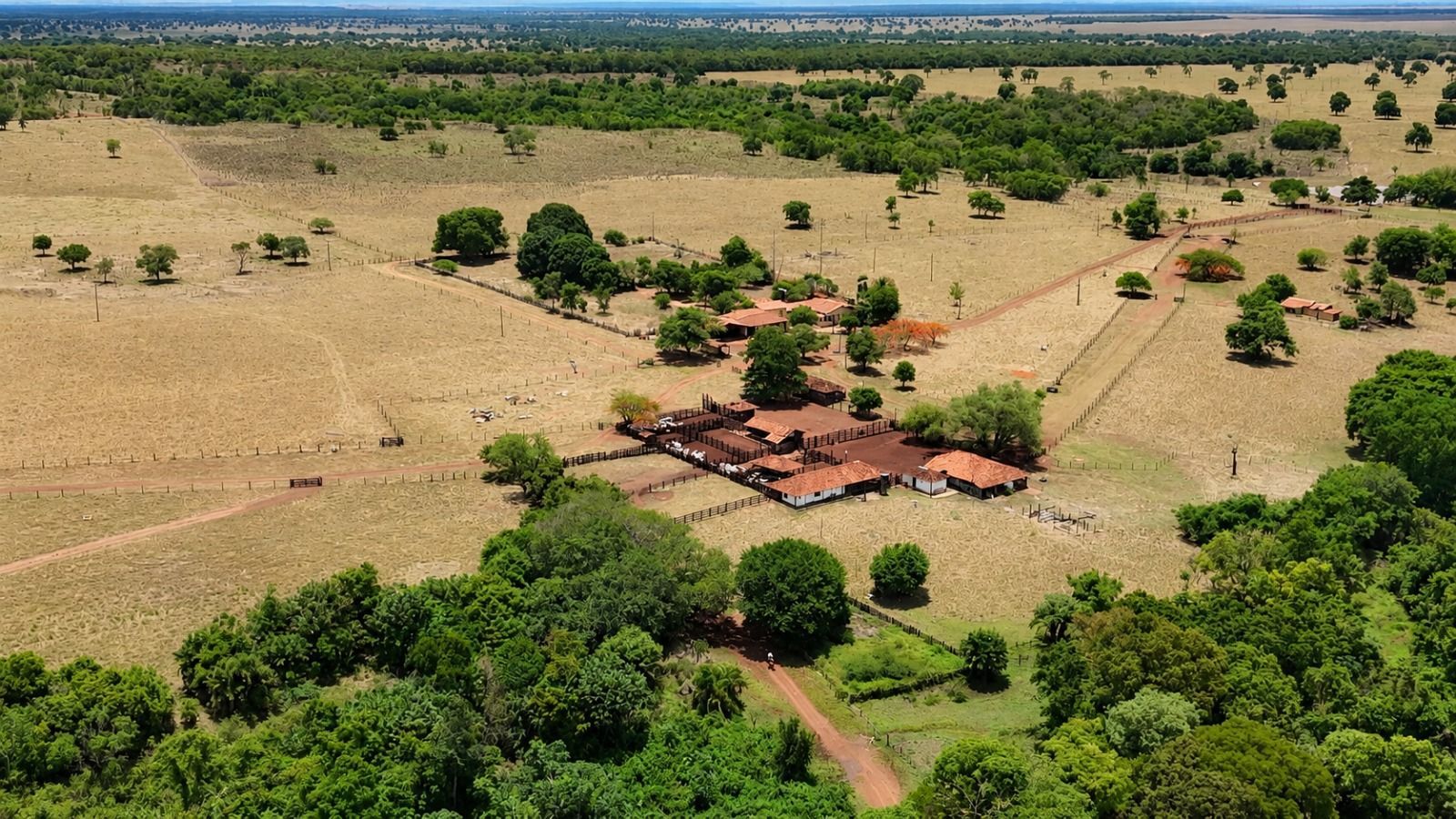Fazenda, 1669 hectares - Foto 2
