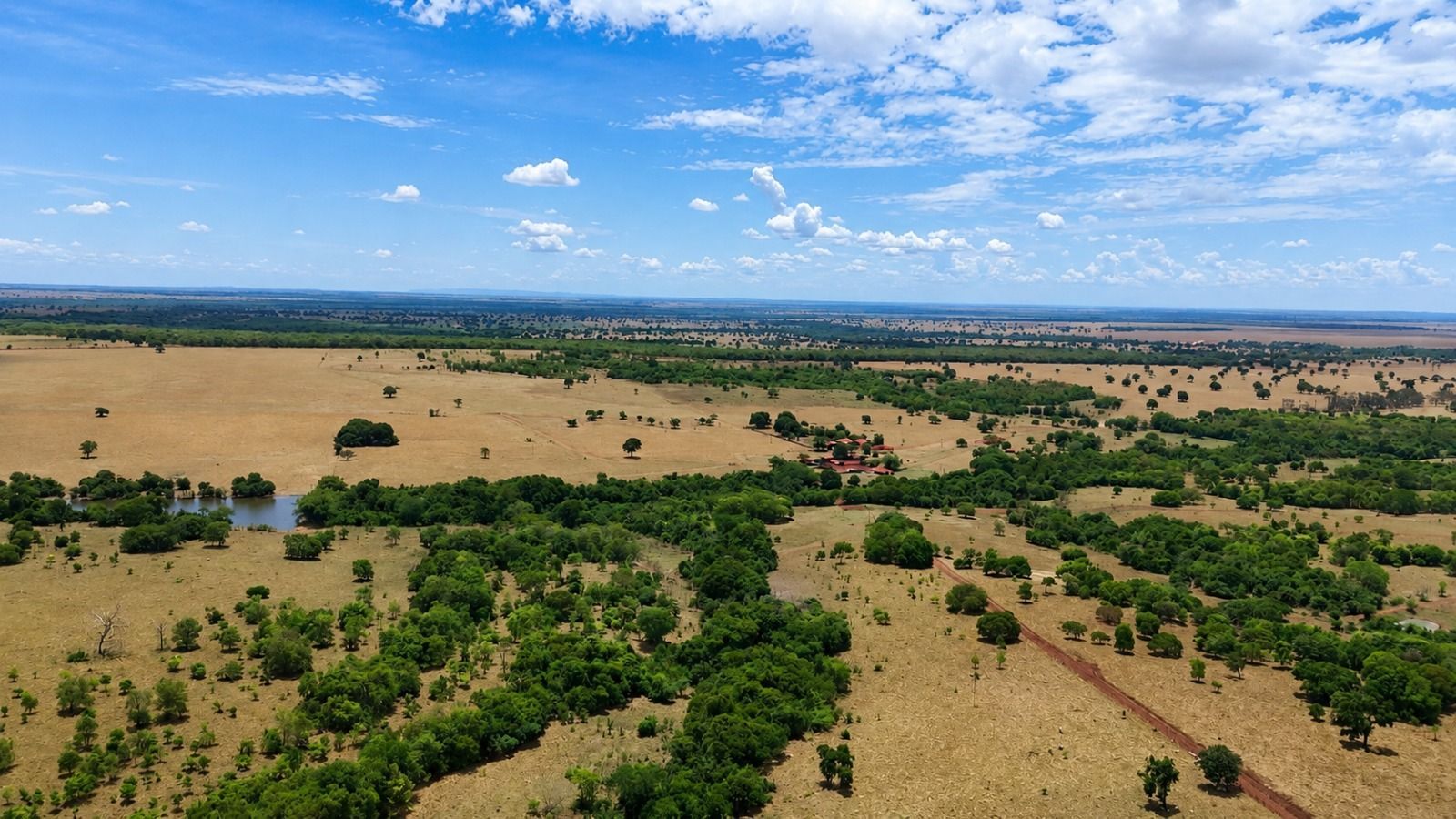 Fazenda, 1669 hectares - Foto 9
