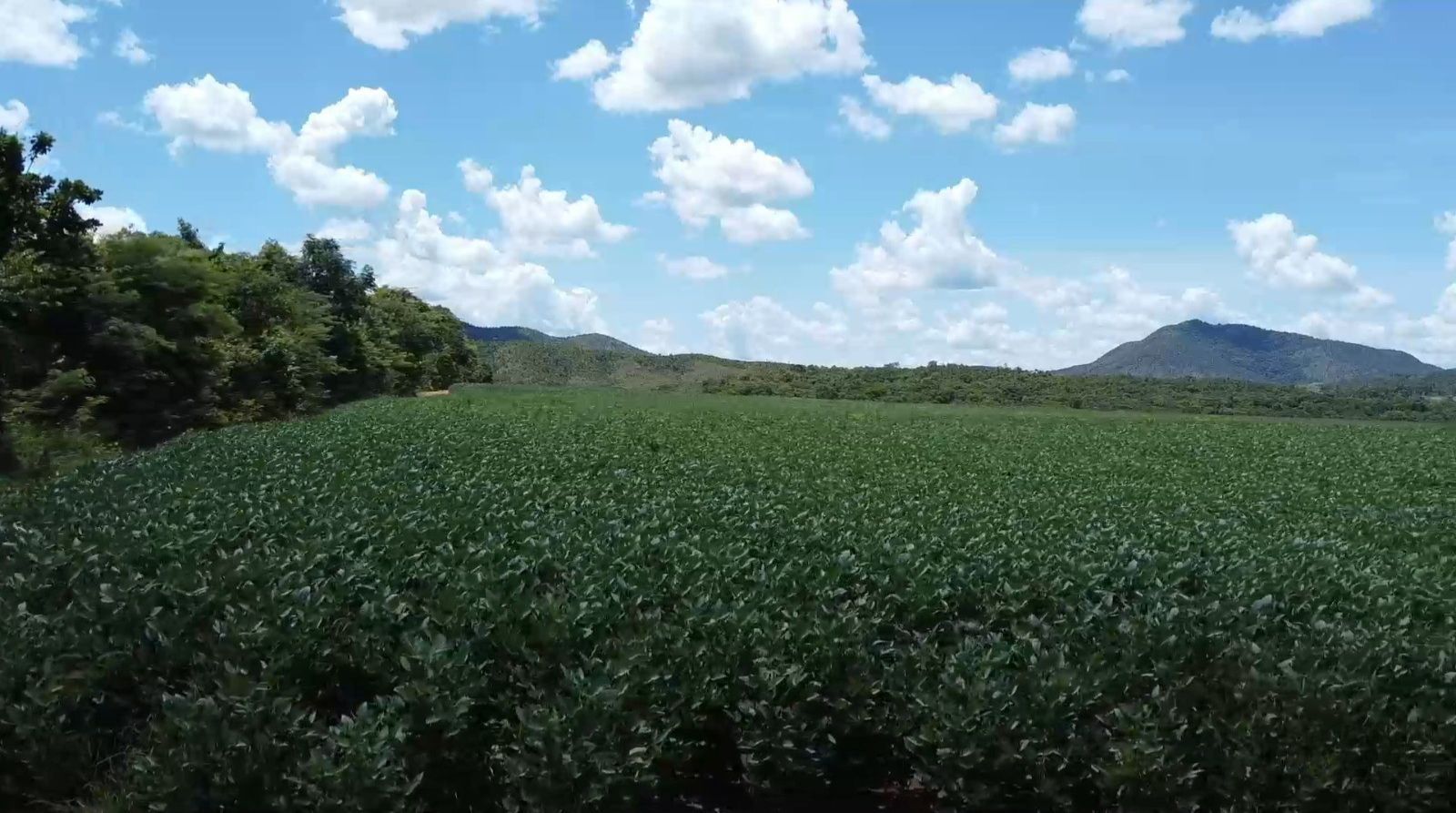 Fazenda, 1452 hectares - Foto 6