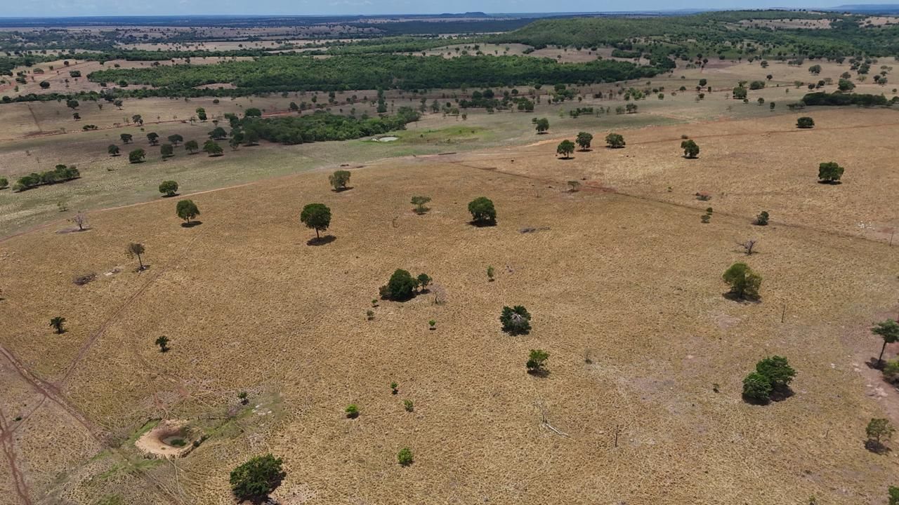 Fazenda, 1669 hectares - Foto 11
