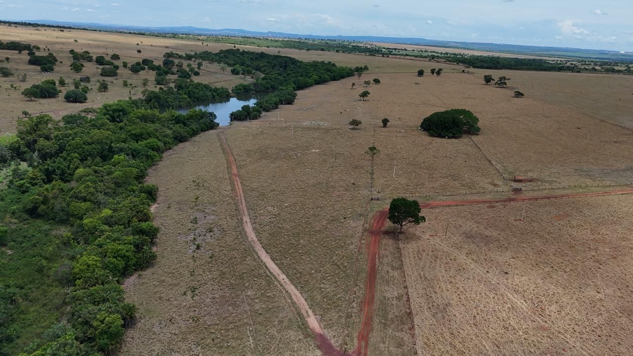 Fazenda, 1669 hectares - Foto 17