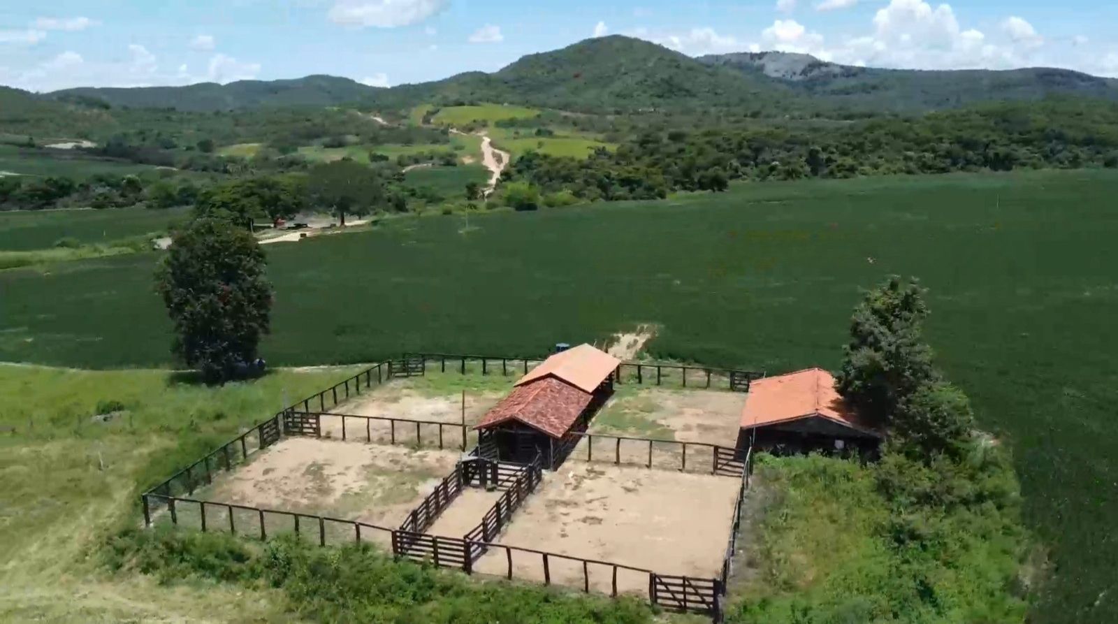 Fazenda, 1452 hectares - Foto 9