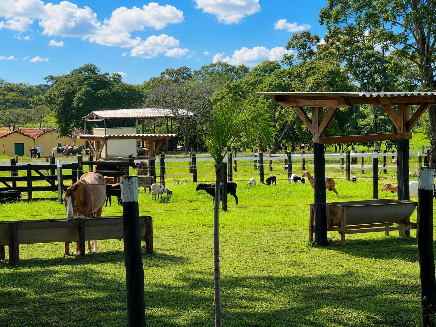Fazenda completa de 75 alqueires por R$ 16 milhões: oportunidade rara em Goiás — foto 1