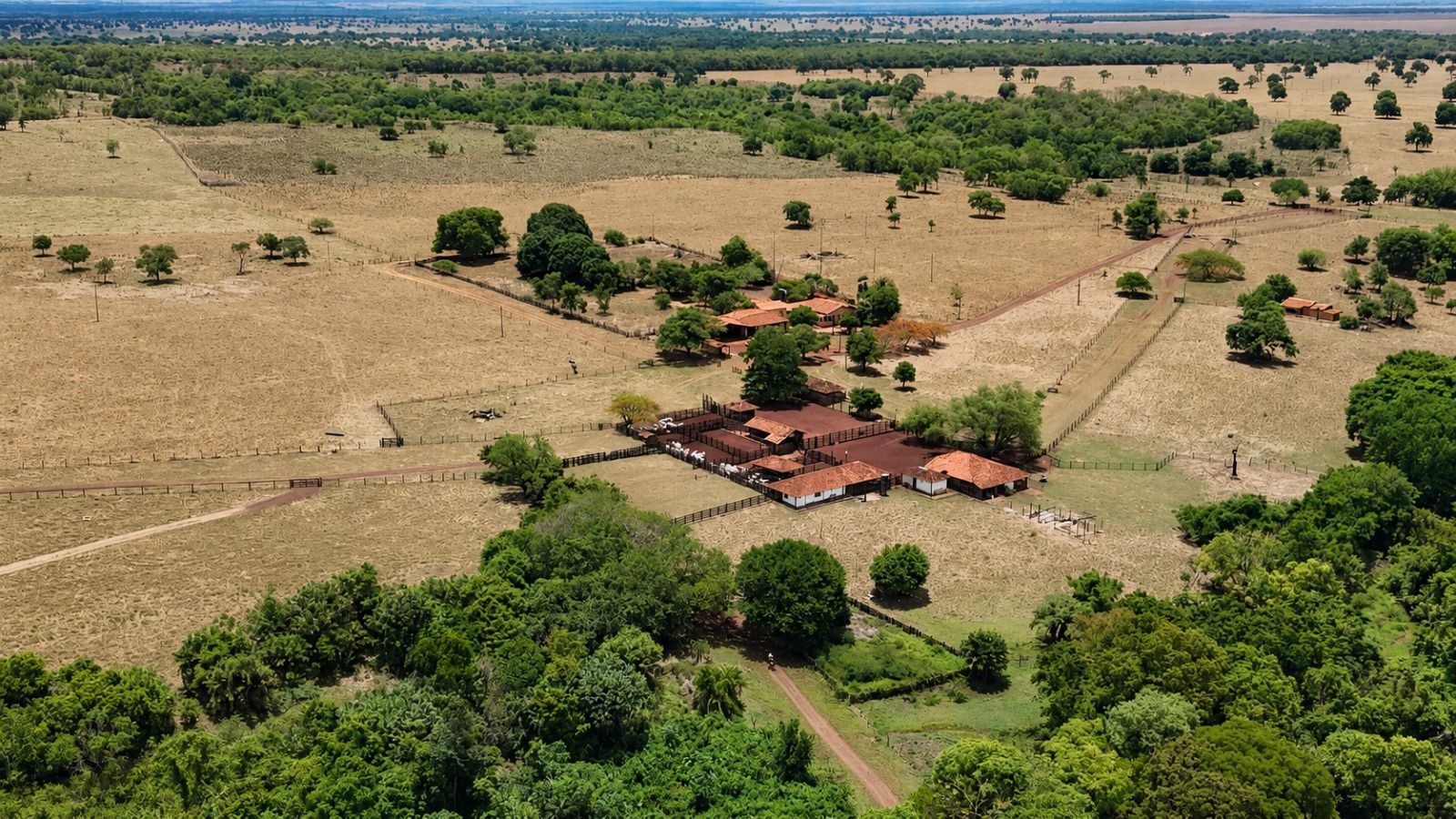 Fazenda, 1669 hectares - Foto 6