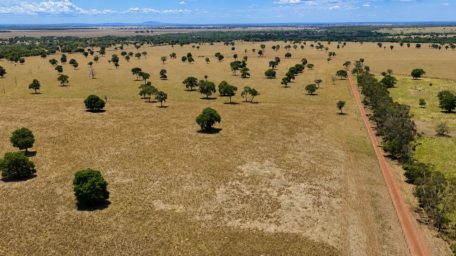 Fazenda, 1669 hectares - Foto 8