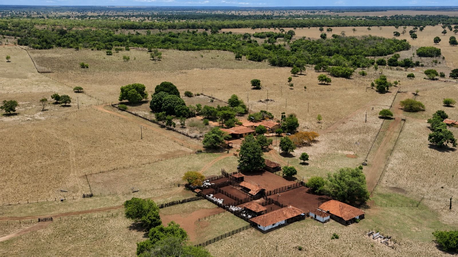 Fazenda, 1669 hectares - Foto 4