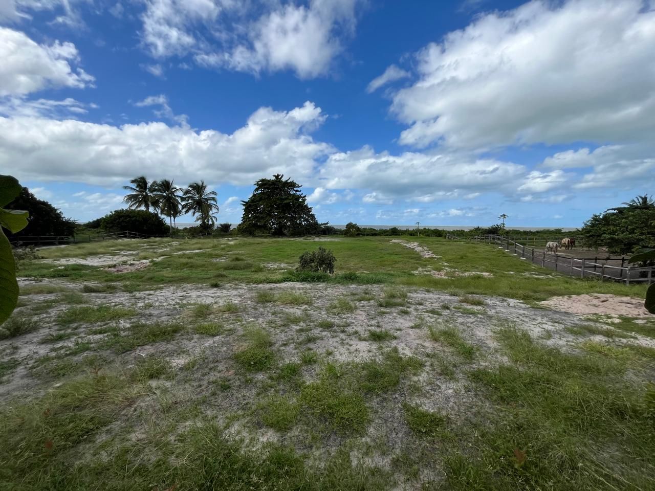 Terreno, 5828 m² - Foto 15