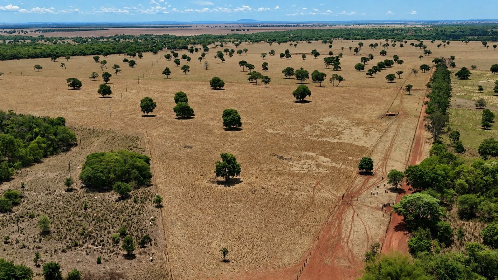 Fazenda, 1669 hectares - Foto 7