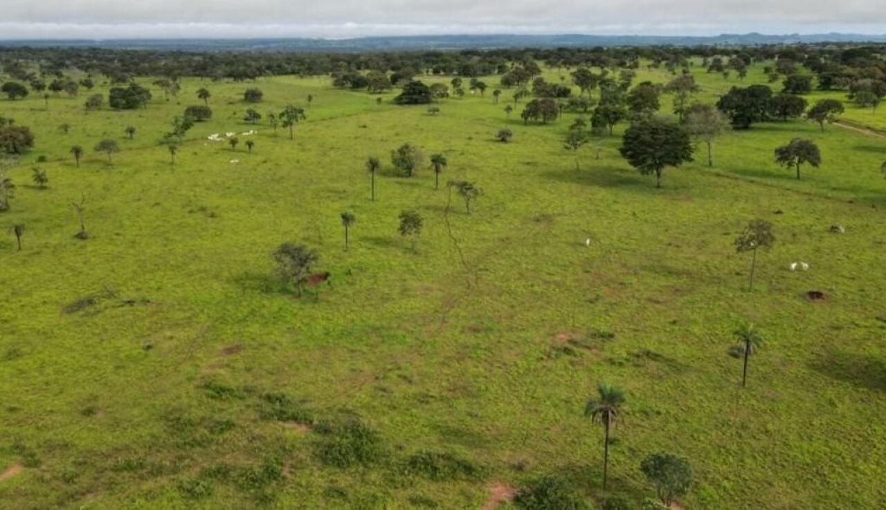 Fazenda, 363 hectares - Foto 27