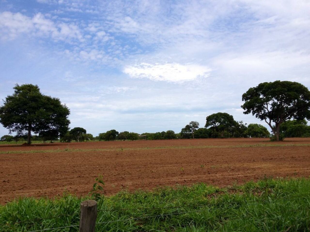 Fazenda, 363 hectares - Foto 14