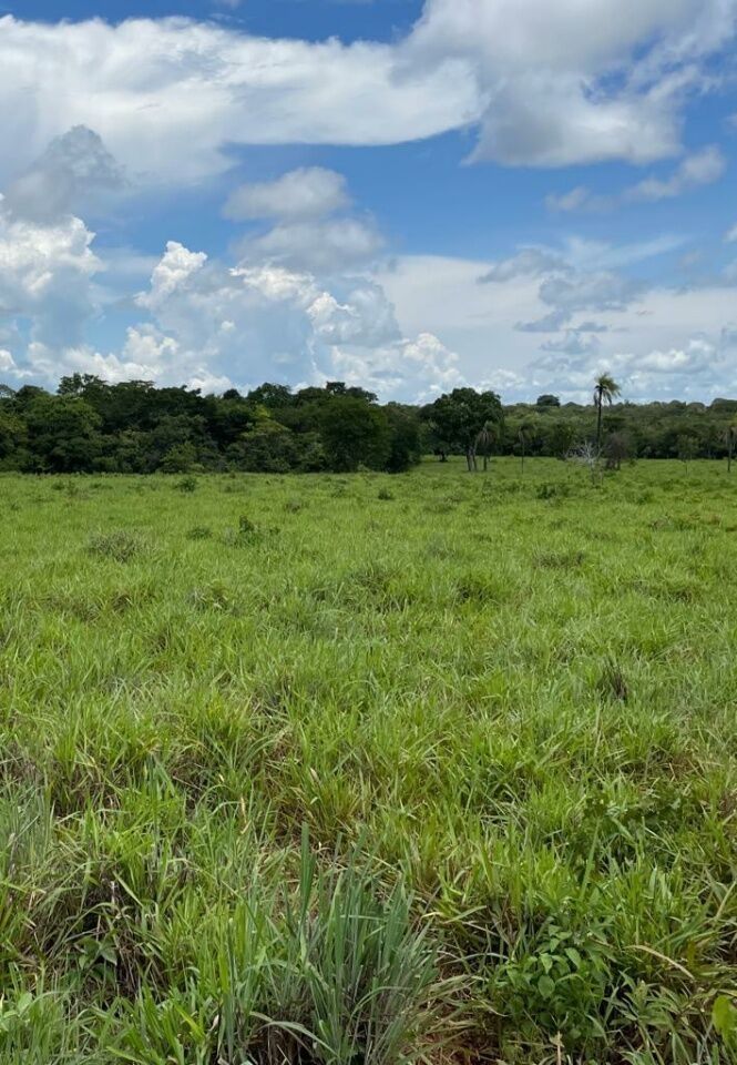 Fazenda, 363 hectares - Foto 24