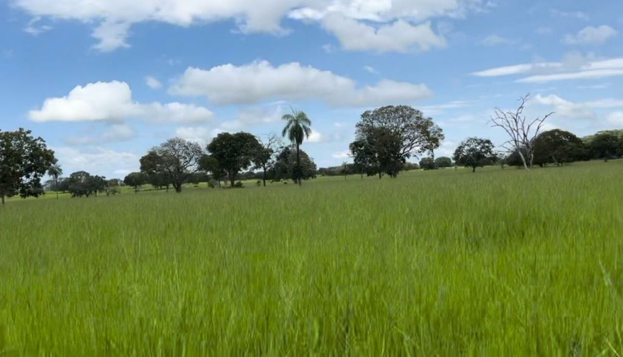 Fazenda, 363 hectares - Foto 29