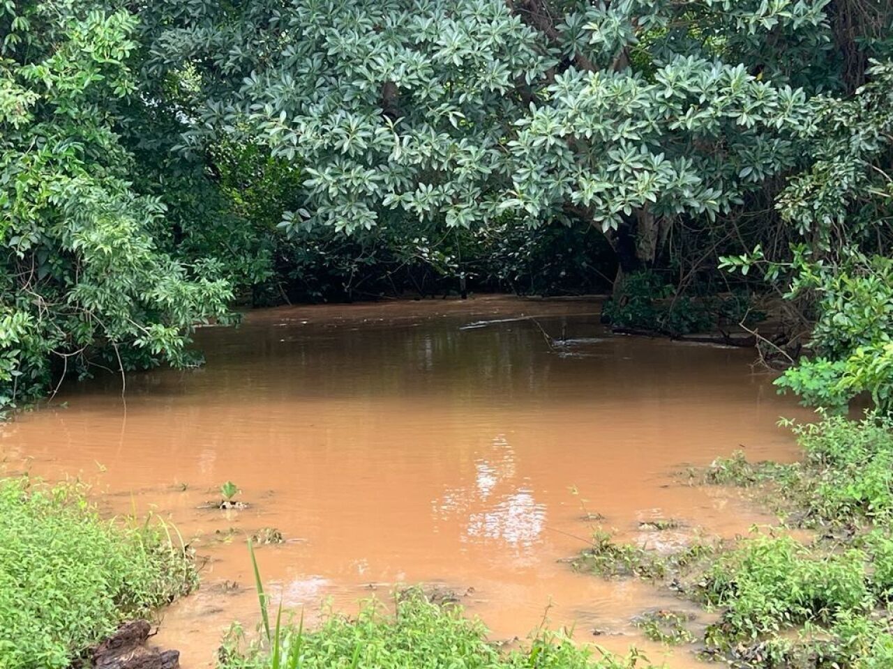 Fazenda, 363 hectares - Foto 20