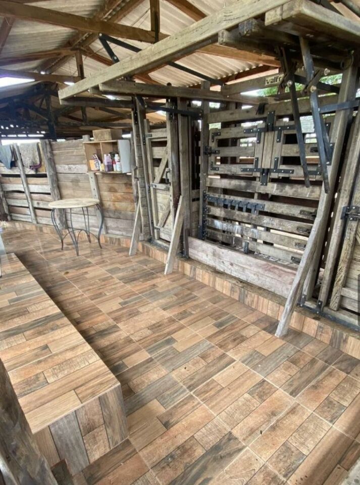 Fazenda, 363 hectares - Foto 47