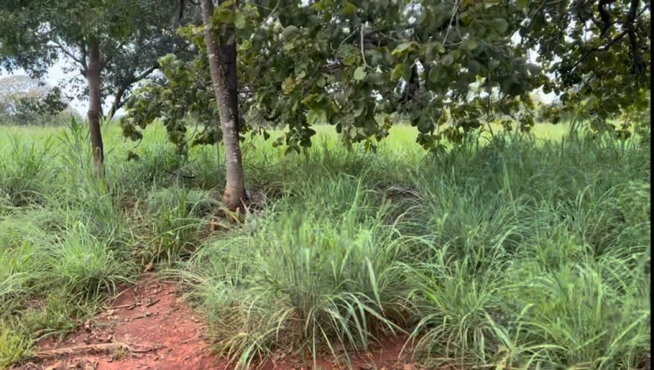 Fazenda, 363 hectares - Foto 31