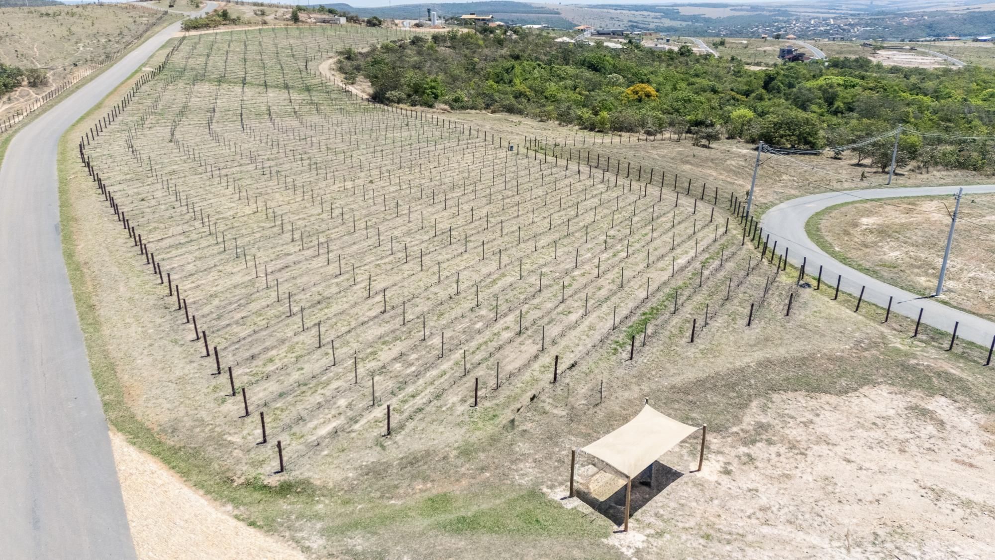Terreno, 706 m² - Foto 6