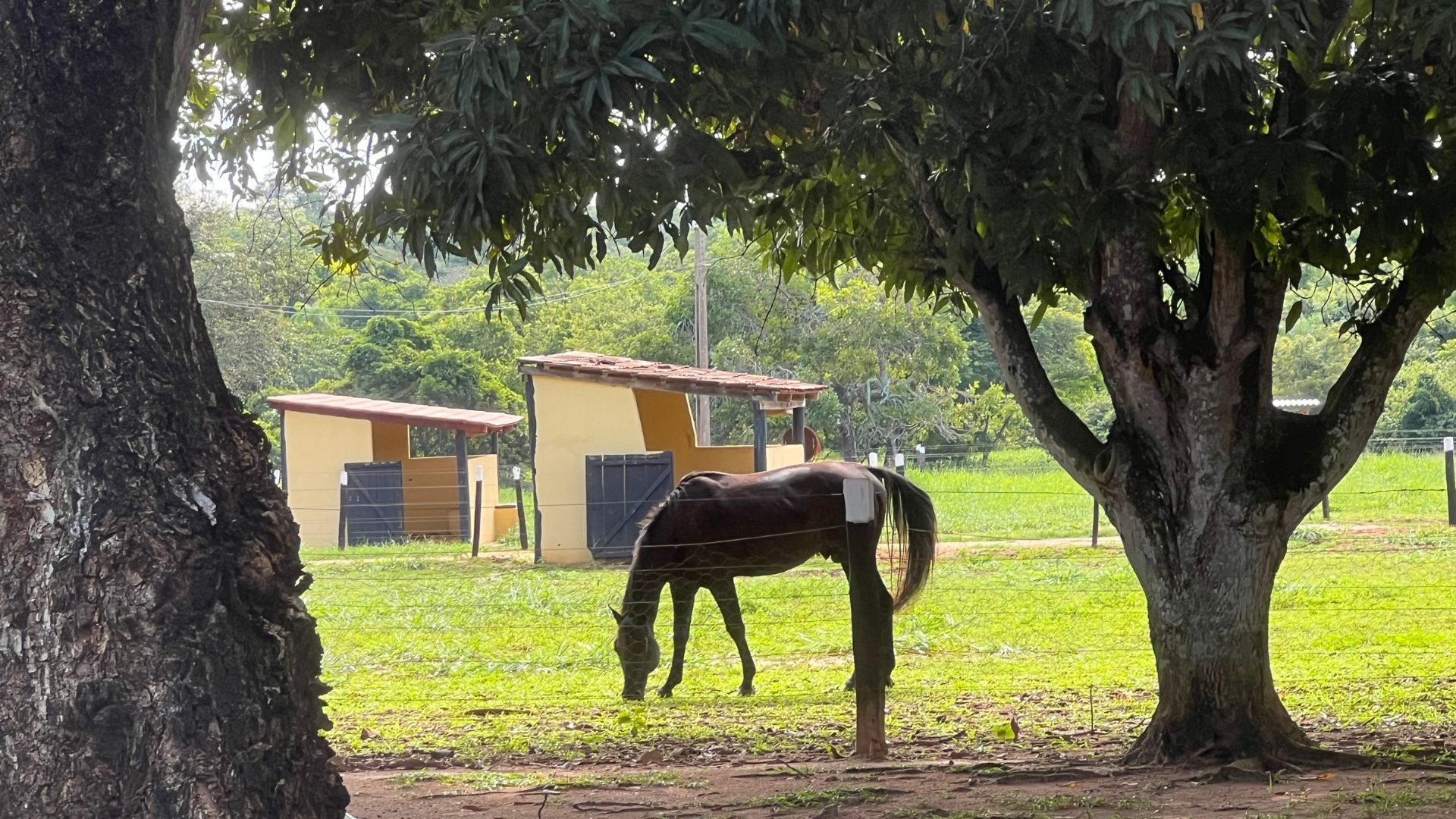 Fazenda, 363 hectares - Foto 18