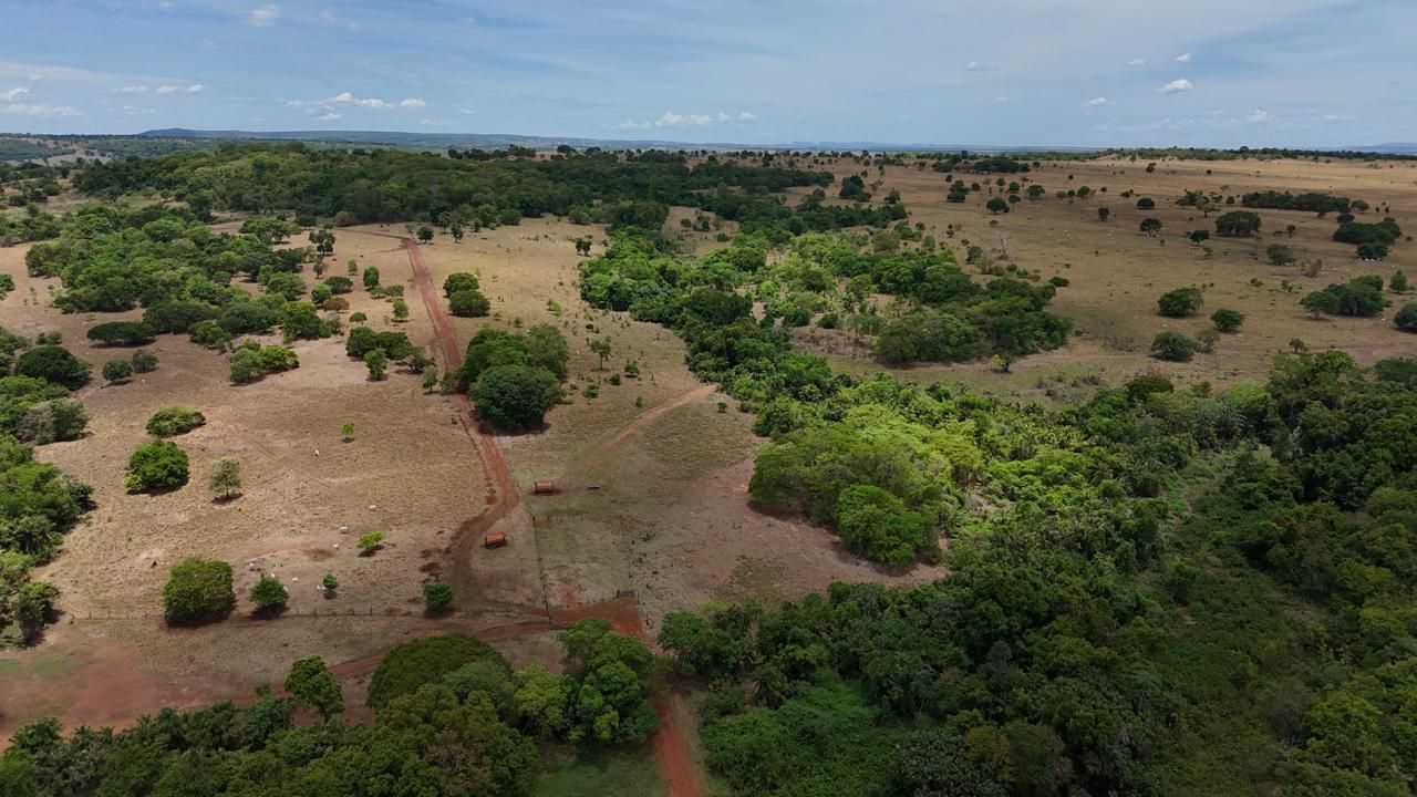Fazenda, 1669 hectares - Foto 16
