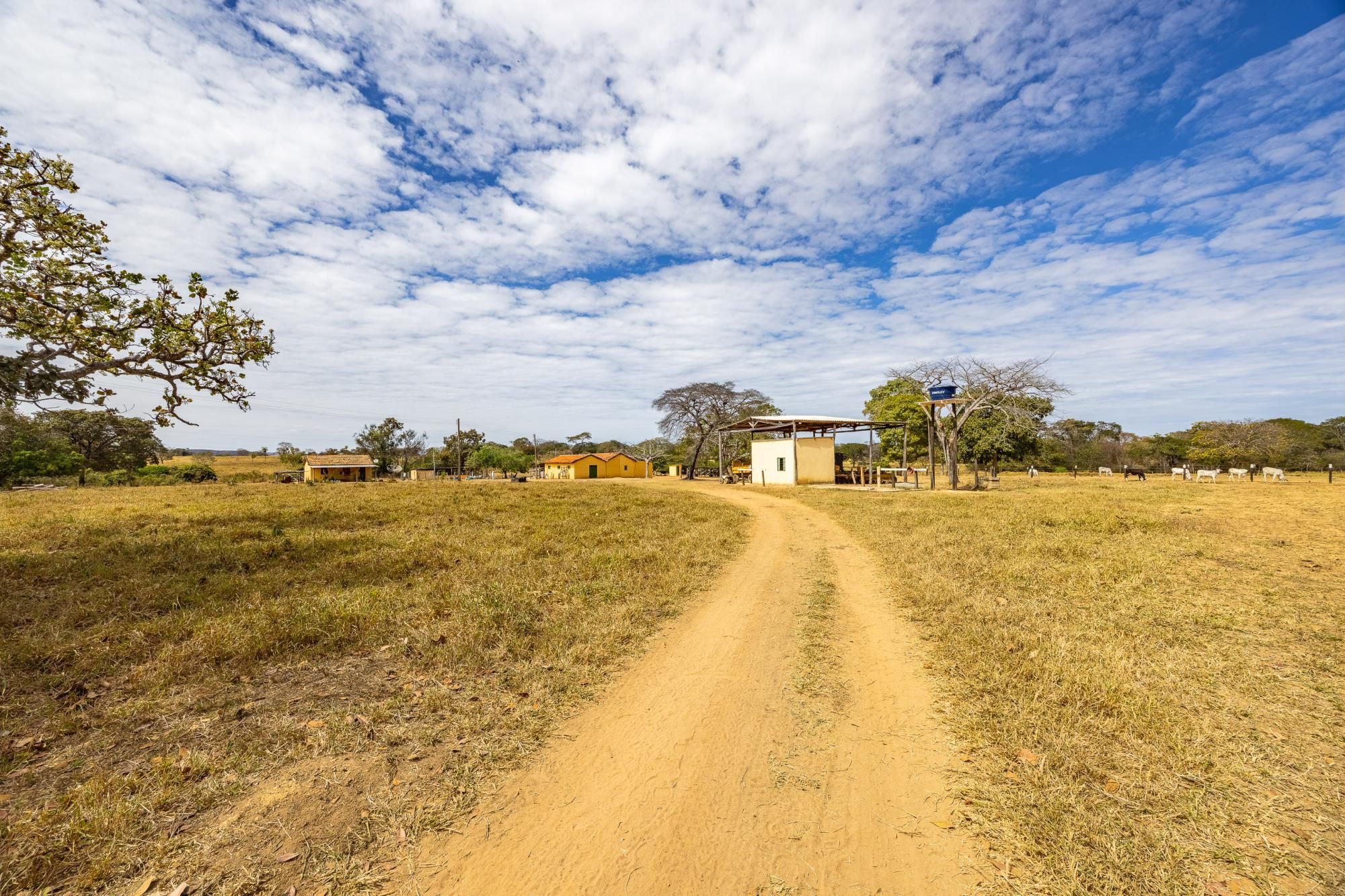 Fazenda, 363 hectares - Foto 36