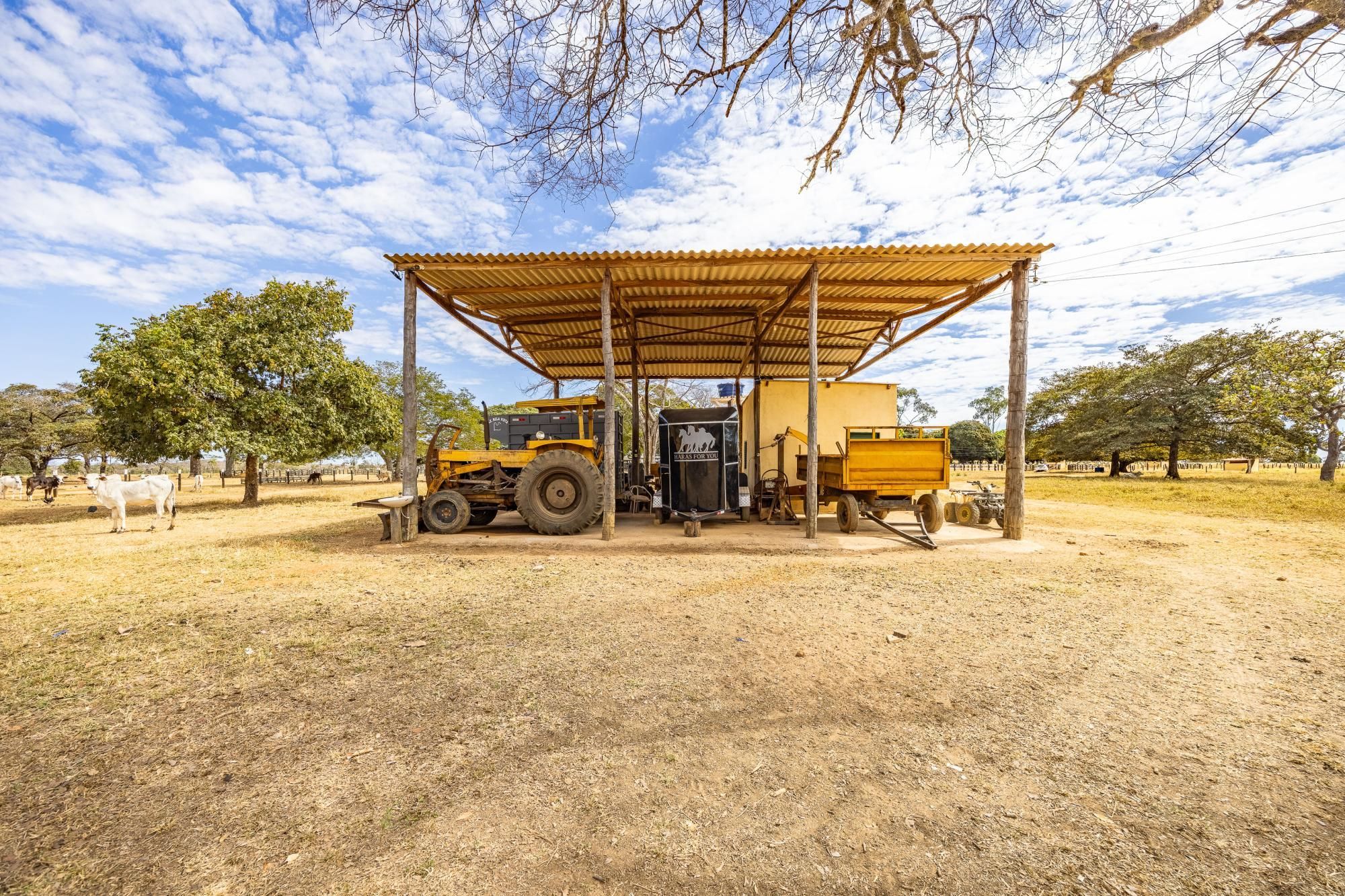 Fazenda, 363 hectares - Foto 39