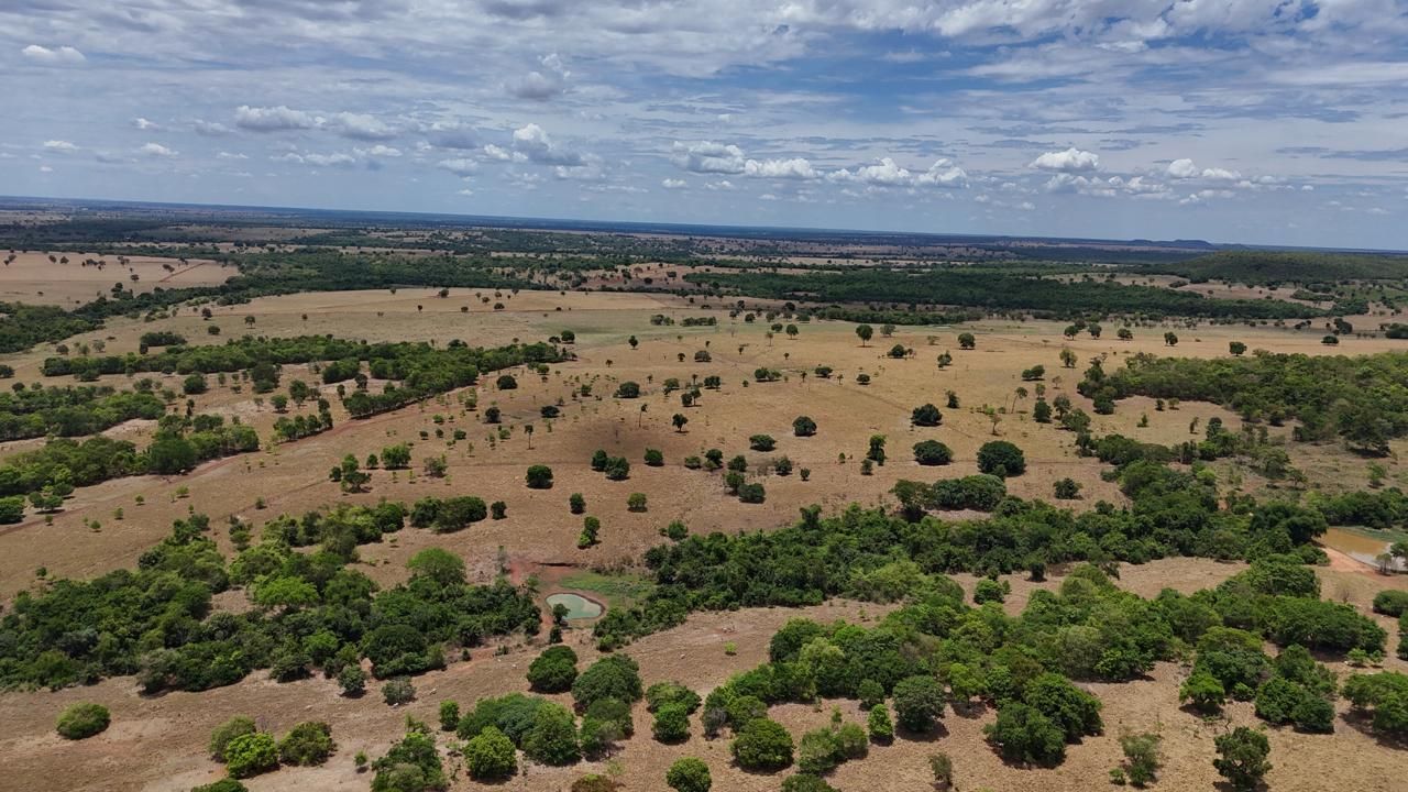 Fazenda, 1669 hectares - Foto 13