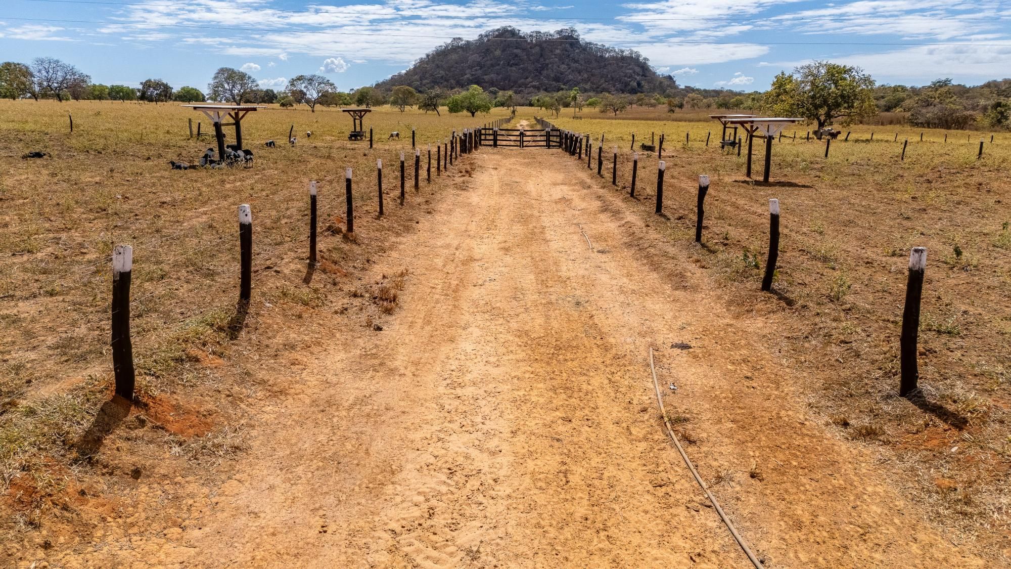 Fazenda, 363 hectares - Foto 35