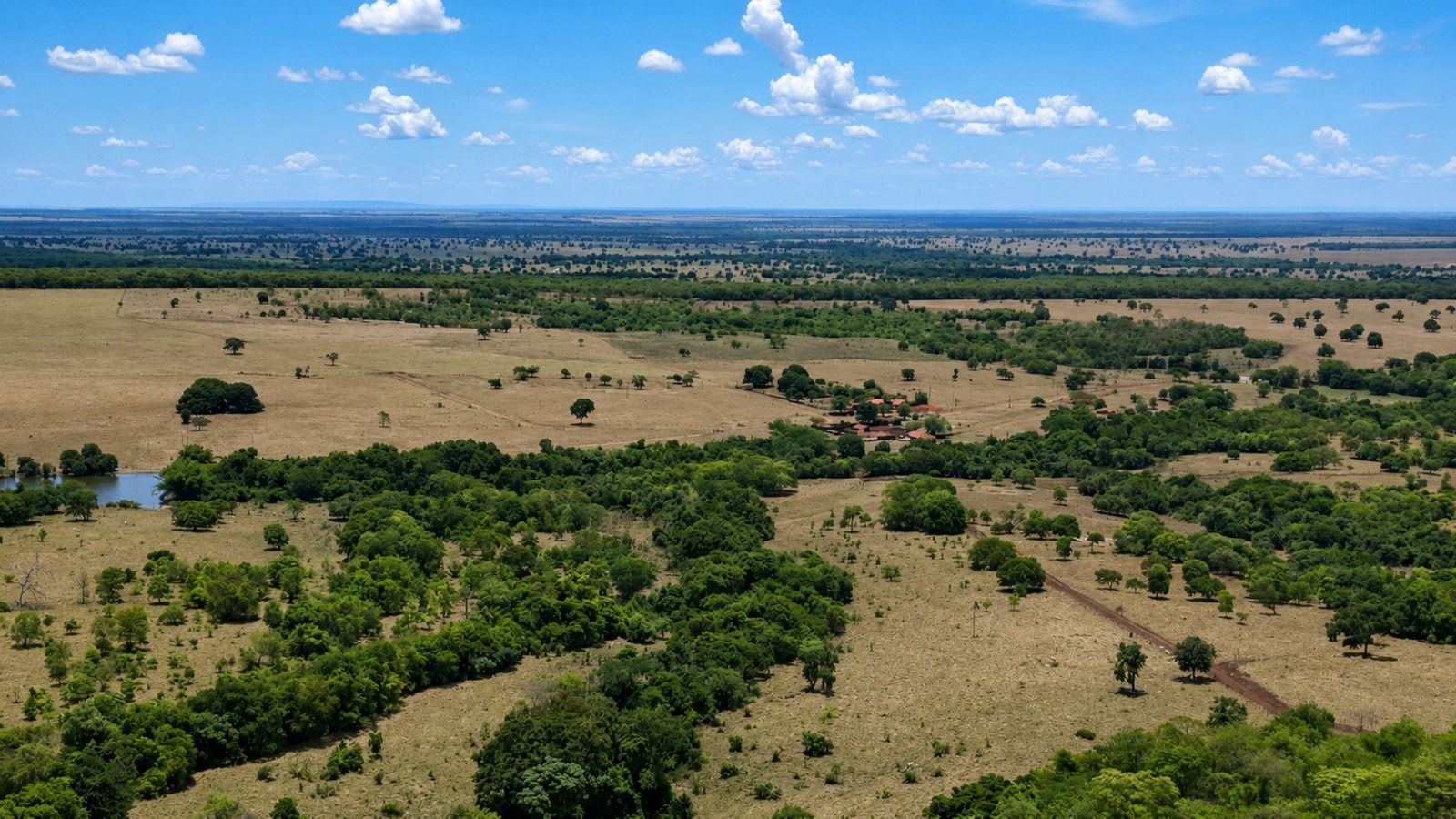 Fazenda, 1669 hectares - Foto 10