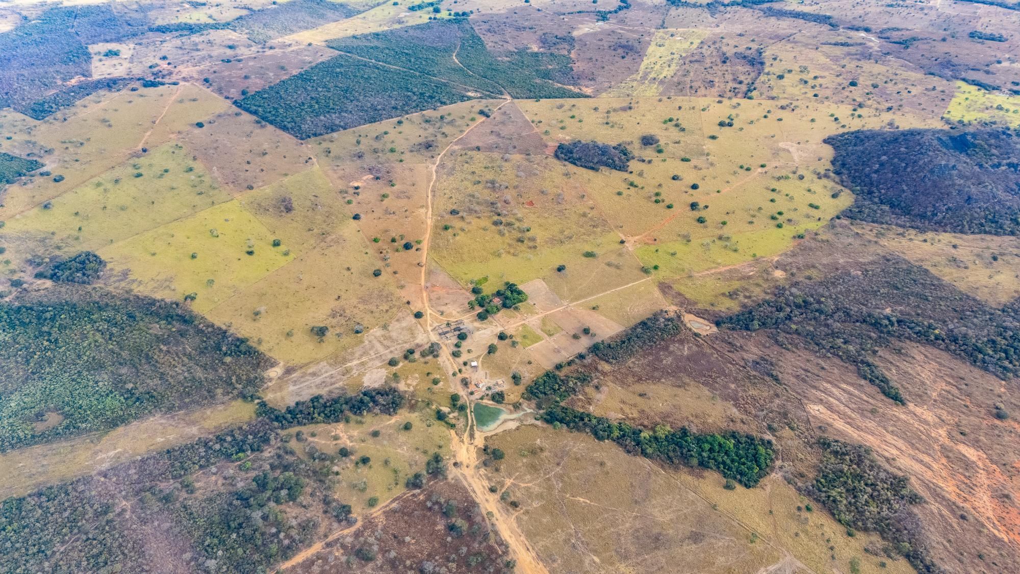 Fazenda, 363 hectares - Foto 83