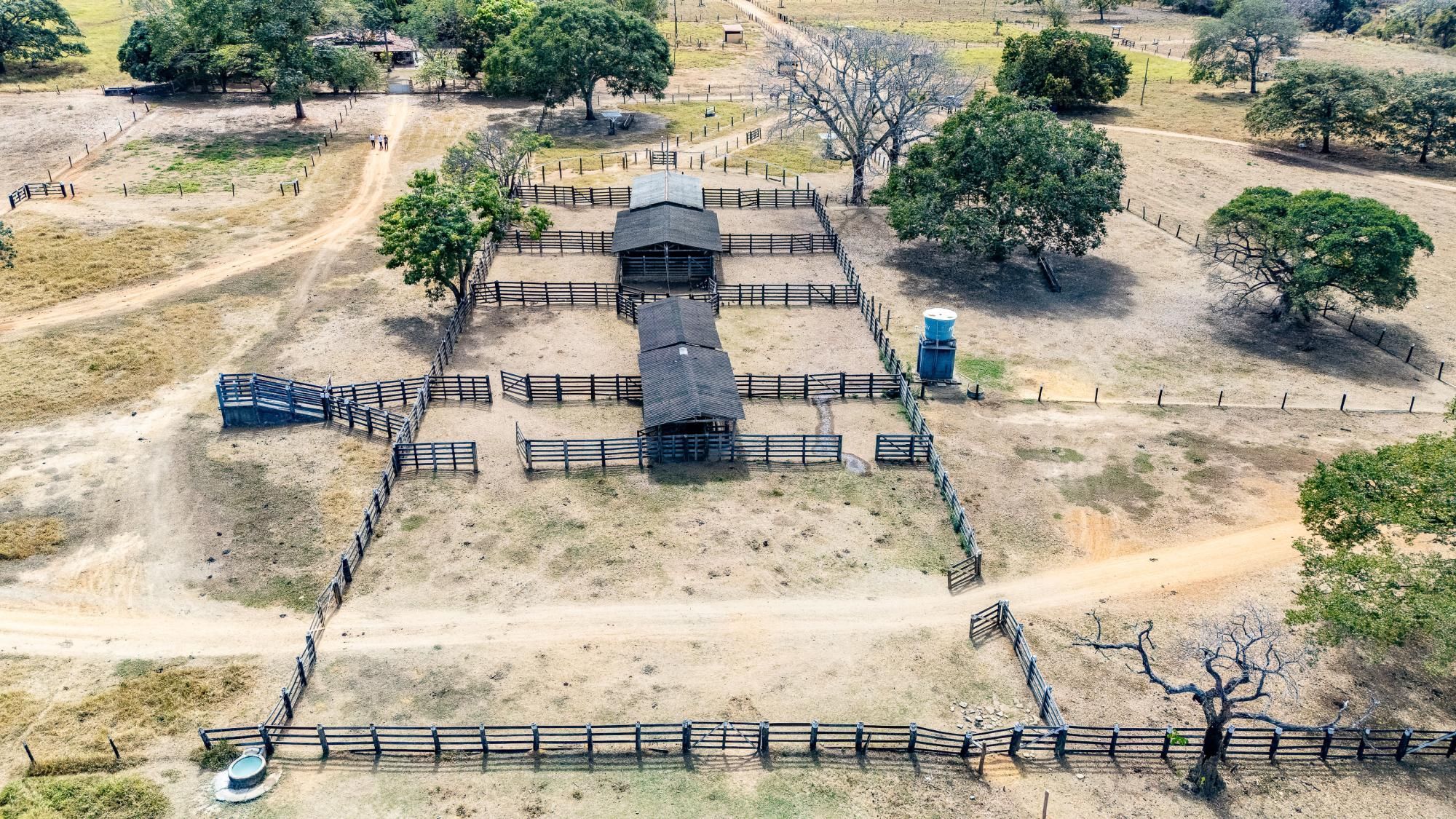 Fazenda, 363 hectares - Foto 46