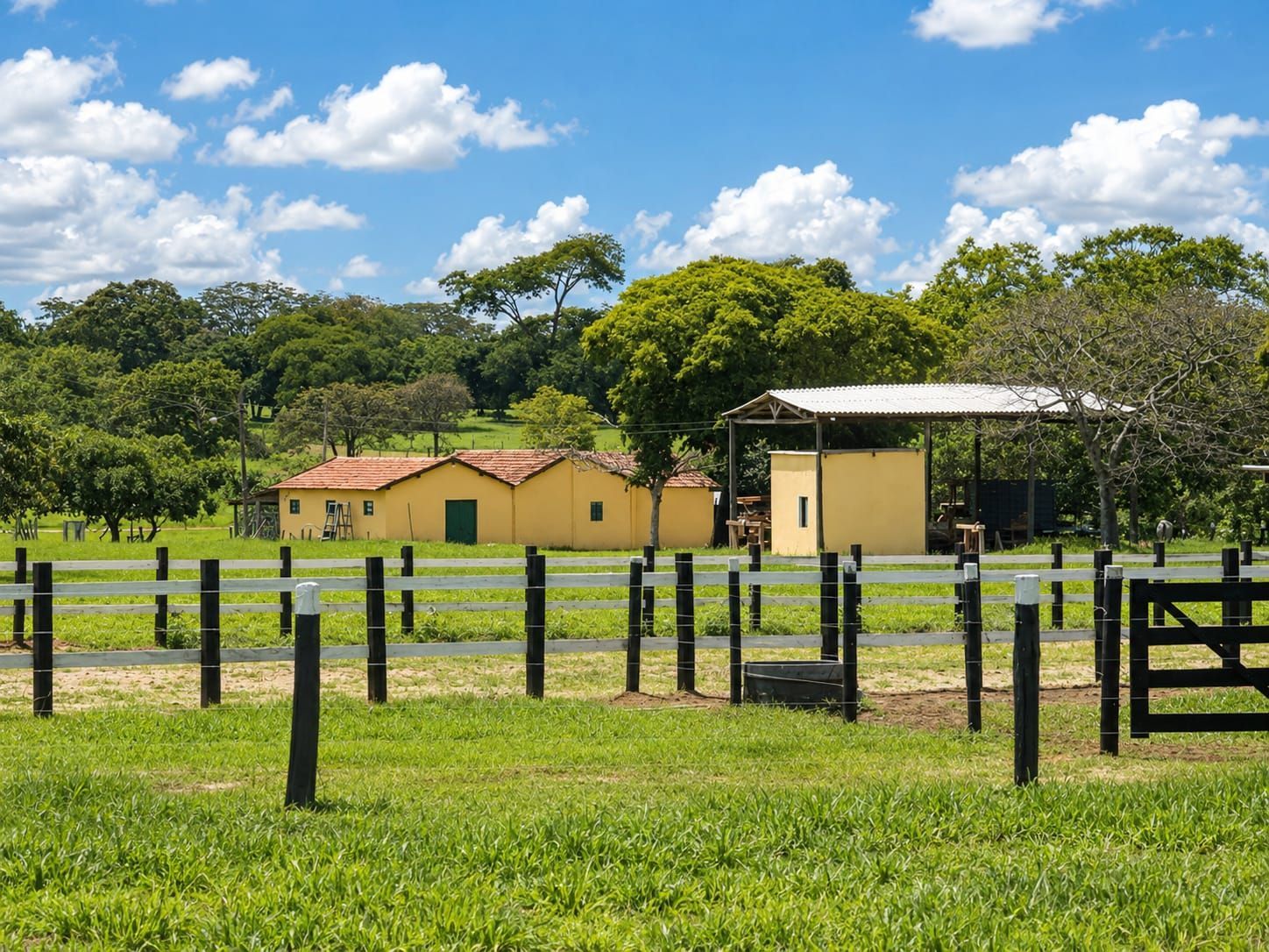 Fazenda, 363 hectares - Foto 2