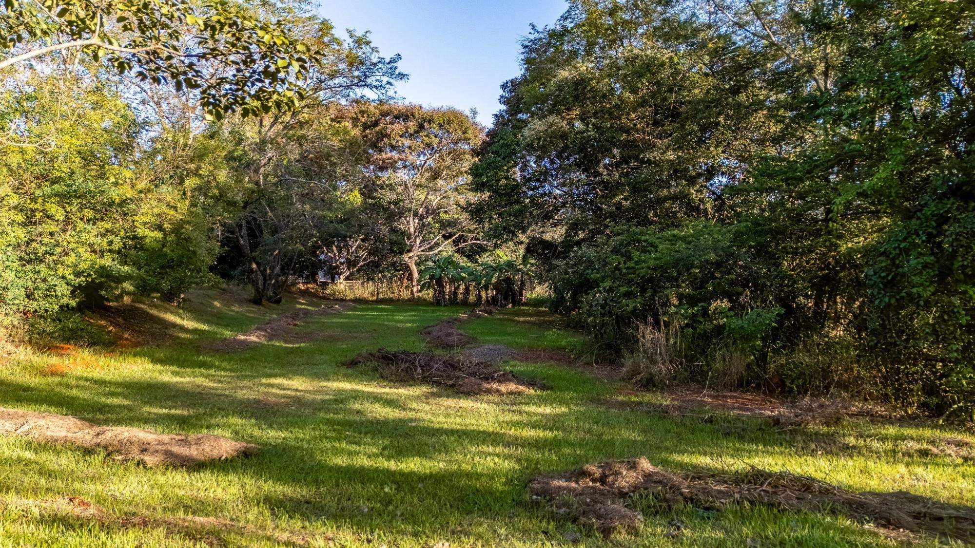 Terreno, 2809 m² - Foto 10
