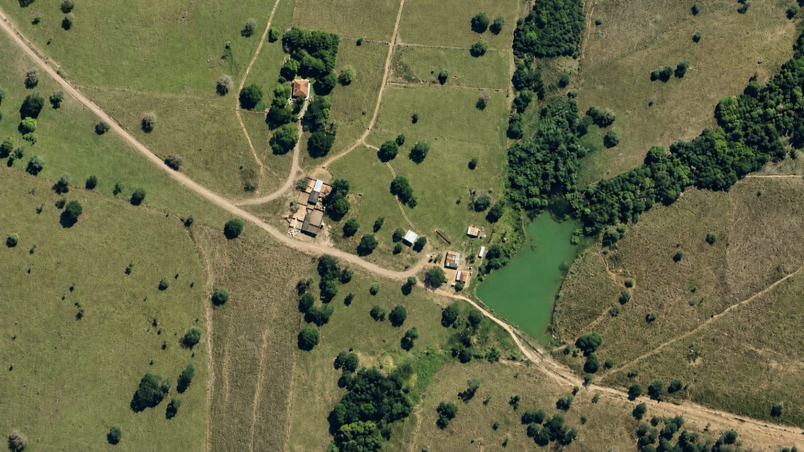 Fazenda, 363 hectares - Foto 81