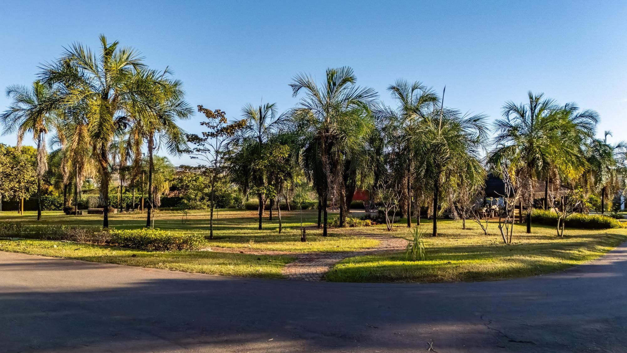 Terreno, 2809 m² - Foto 12