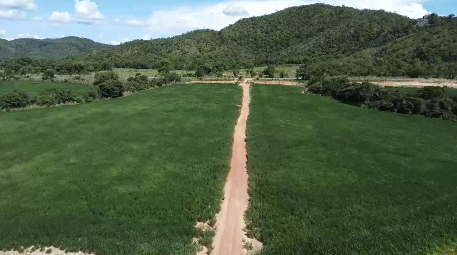 Fazenda, 1452 hectares - Foto 7