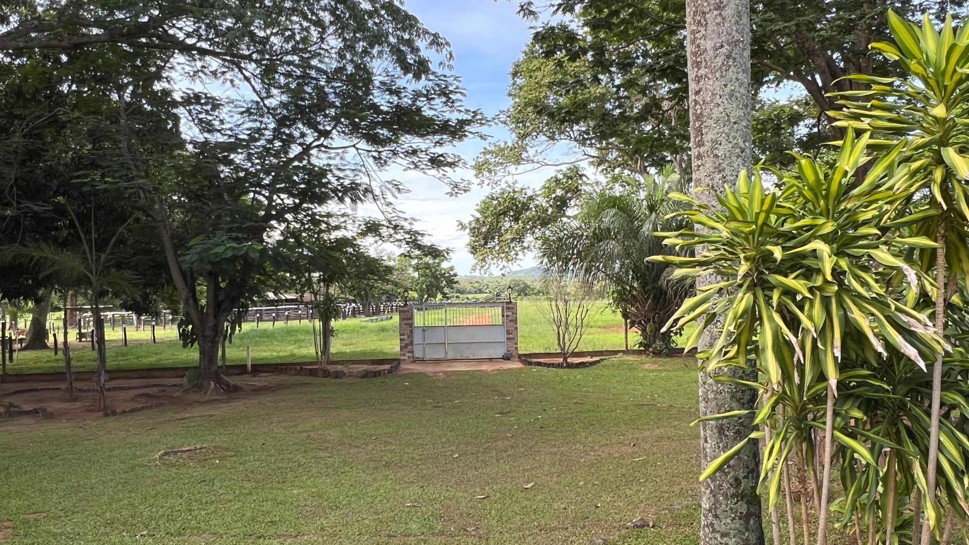 Fazenda, 363 hectares - Foto 73