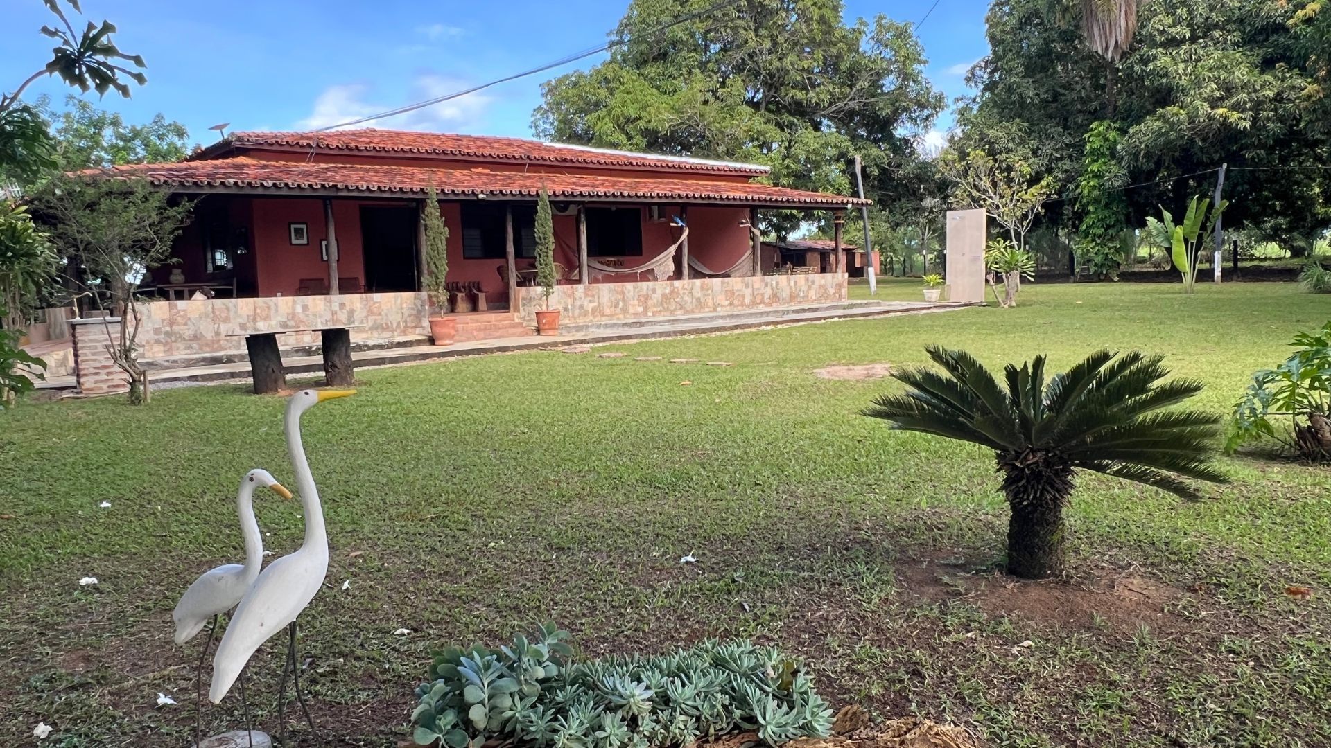 Fazenda, 363 hectares - Foto 57