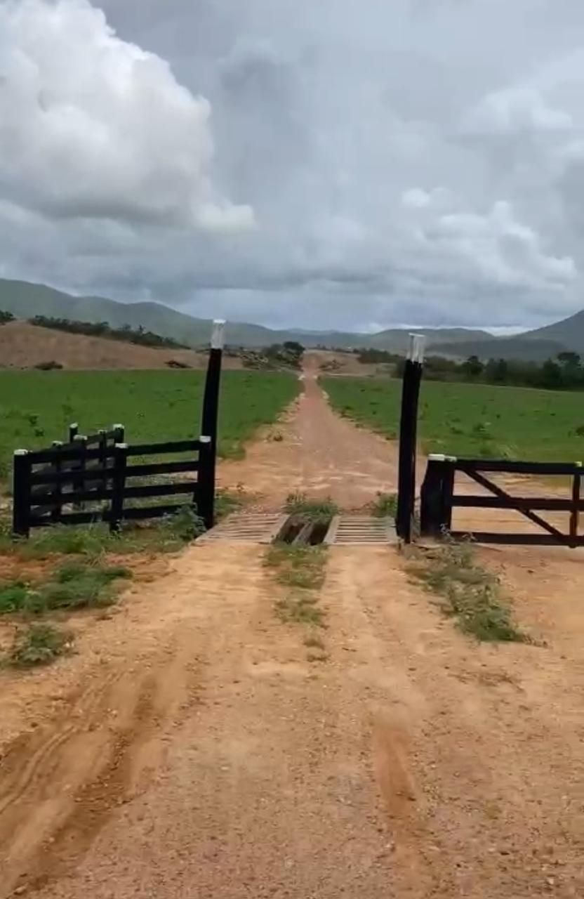 Fazenda, 1452 hectares - Foto 17