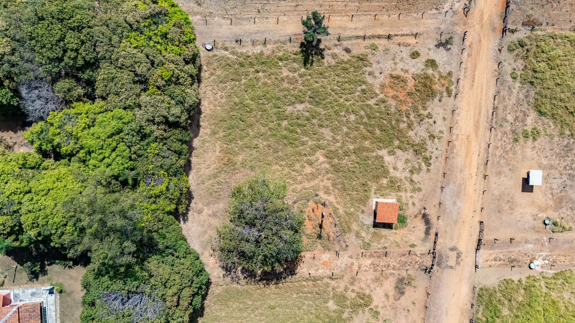 Fazenda, 363 hectares - Foto 76