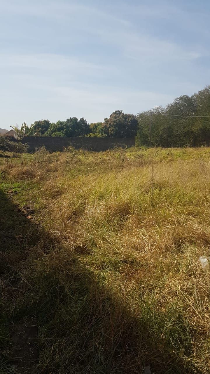 Terreno para alugar parque das árvores franca/sp - foto 3