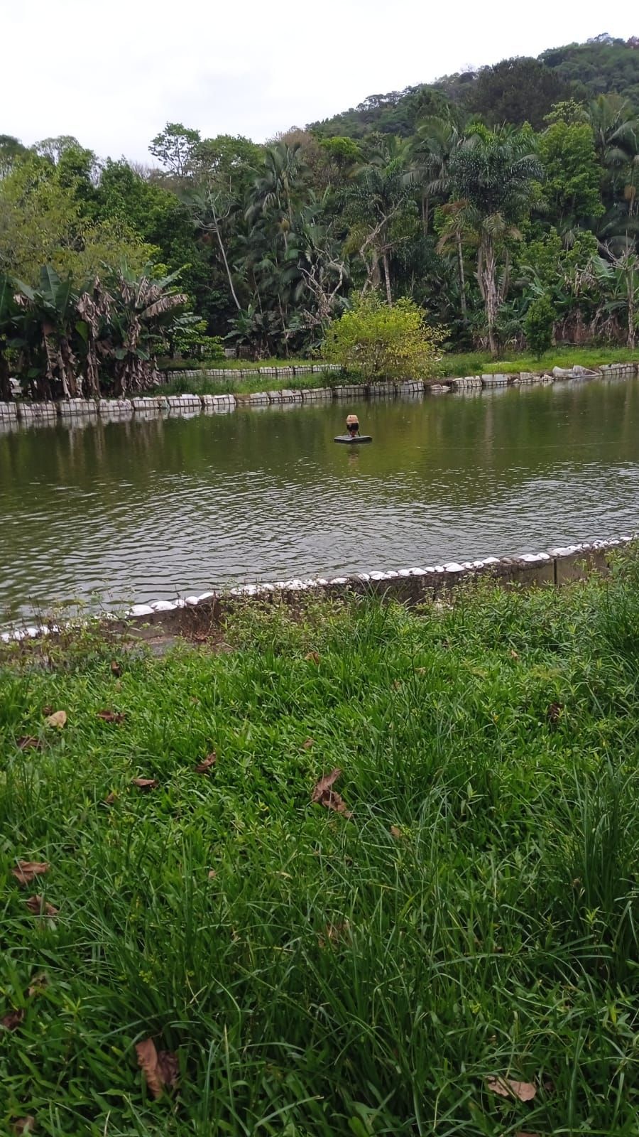 Sítio para Venda em Zona Rural