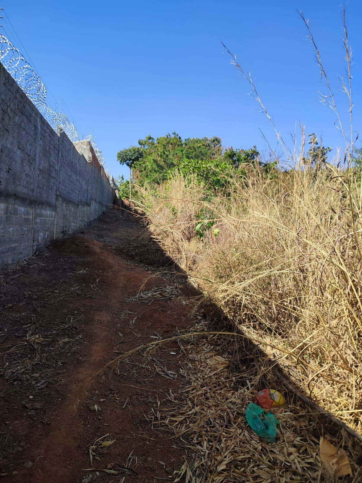 Chácara à venda com 3 quartos, 120m² - Foto 4