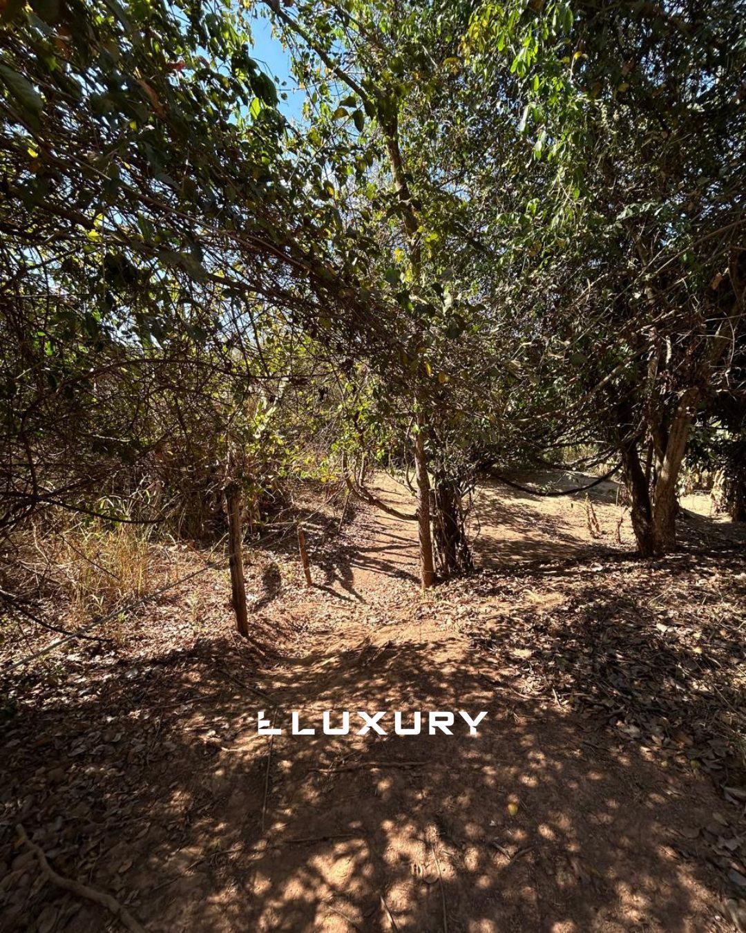 Chácara, 3 quartos, 4 m² - Foto 7