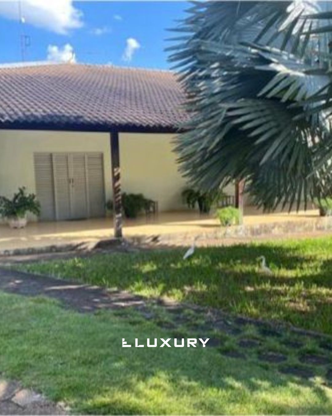 Chácara, 3 quartos, 6826 m² - Foto 1