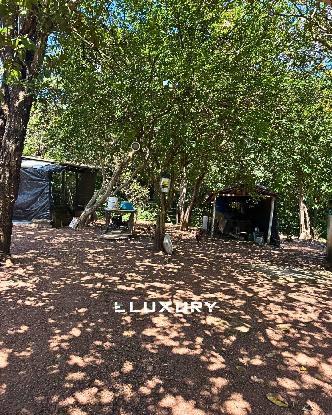 Sítio, 3 quartos, 2 hectares - Foto 20