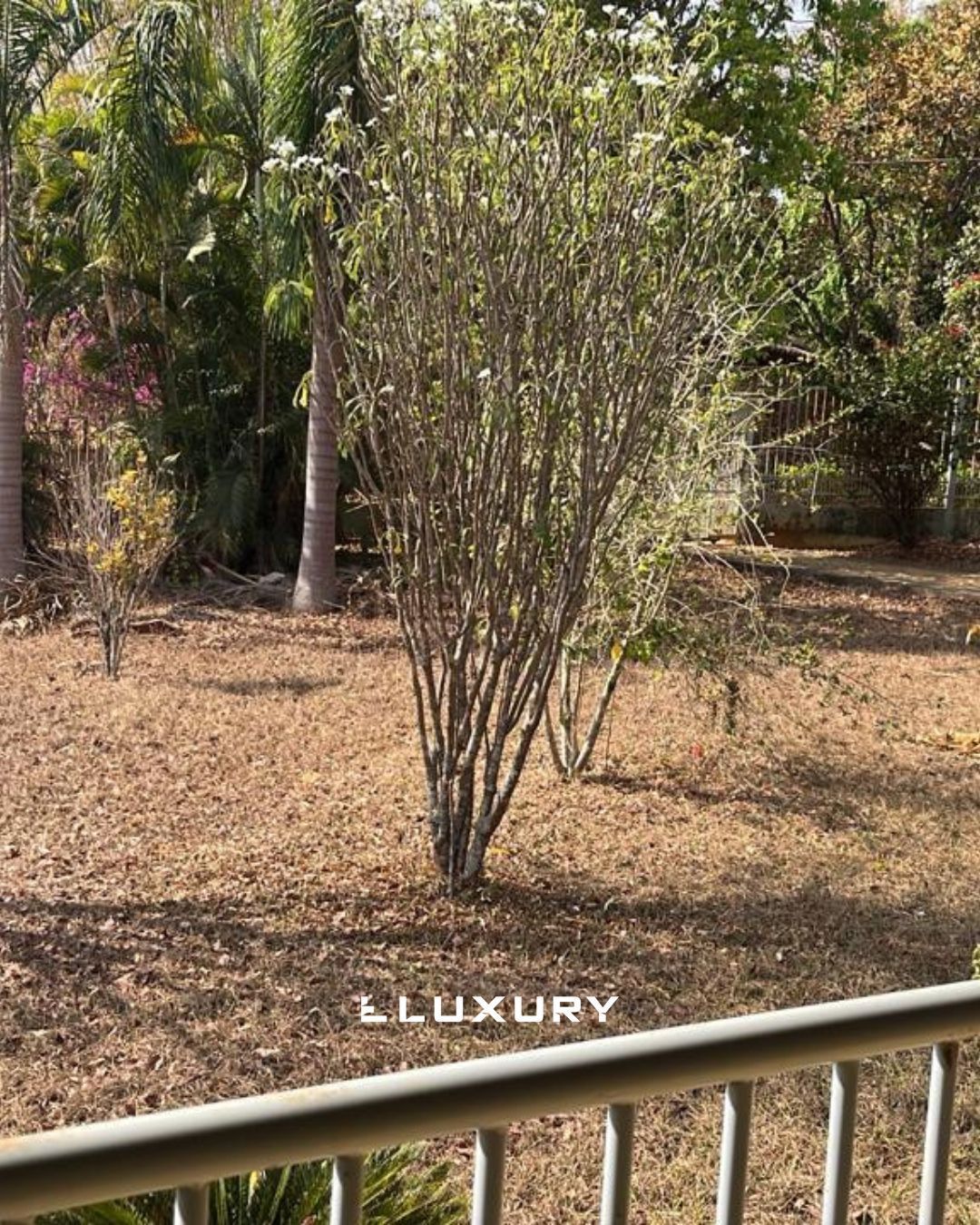 Chácara, 3 quartos, 6826 m² - Foto 19