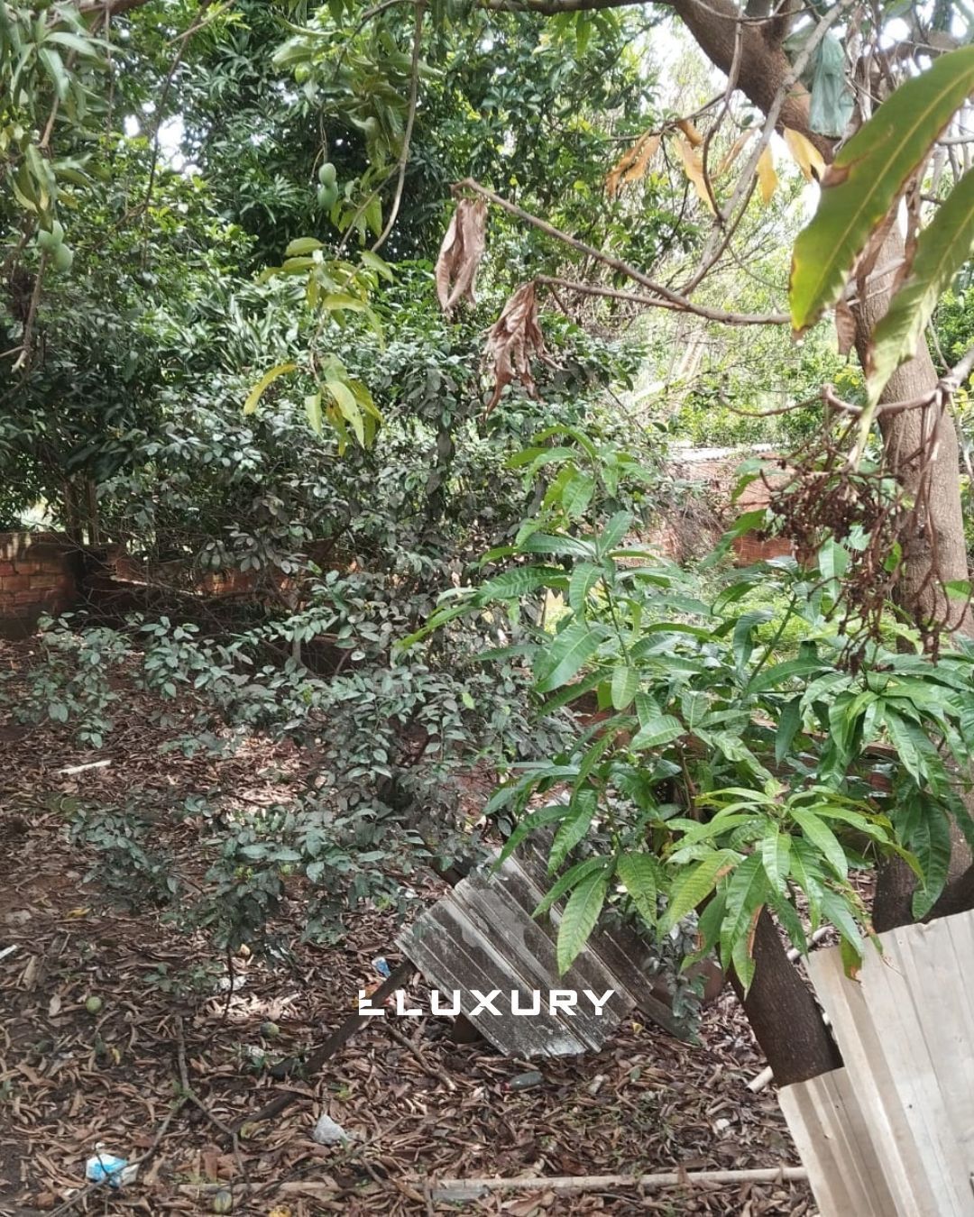 Chácara, 8 quartos, 10000 m² - Foto 11