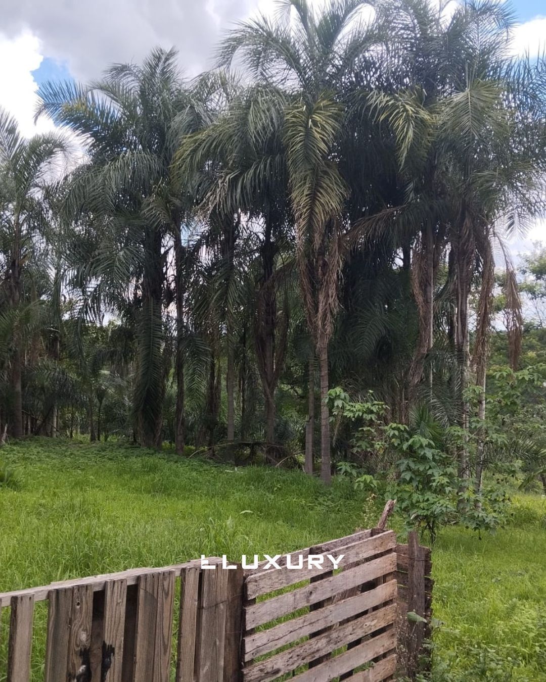 Chácara, 8 quartos, 10000 m² - Foto 15