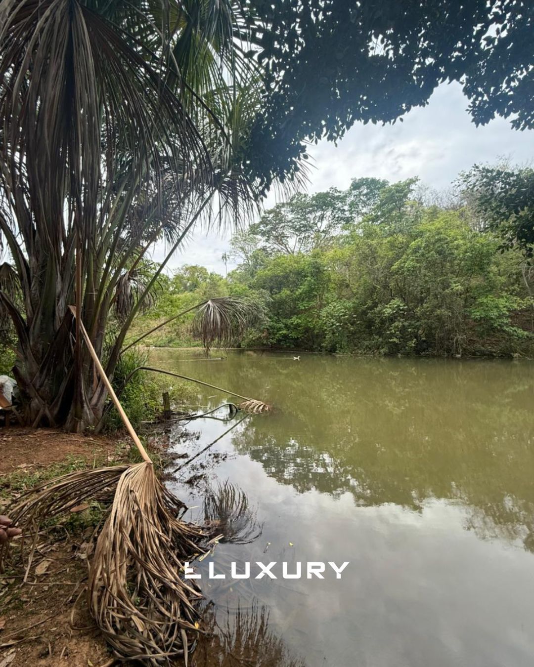 Chácara, 2 quartos, 5000 m² - Foto 1