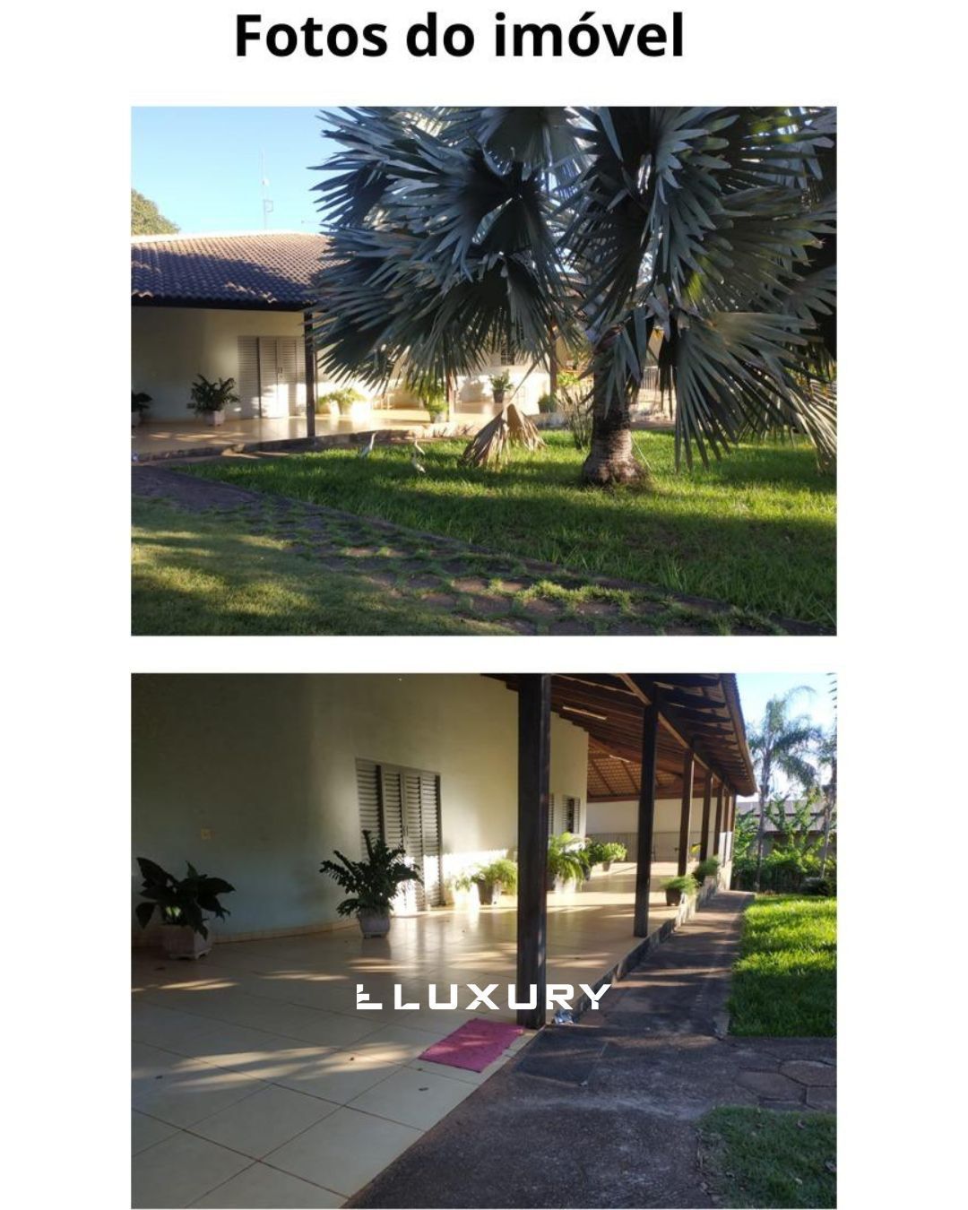 Chácara, 3 quartos, 6826 m² - Foto 3